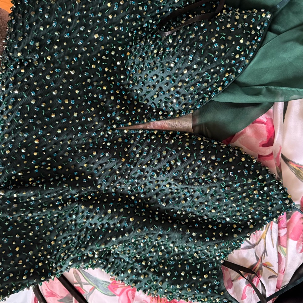Elegant Green Evening Gown - Picture 15 of 16